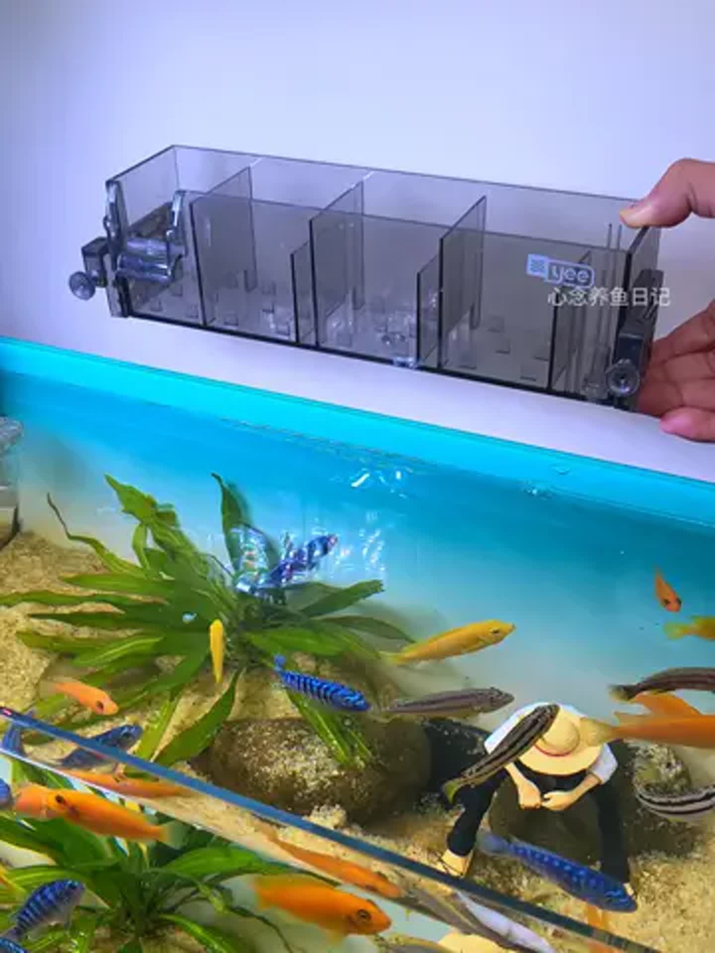 Filter - Hang On Filter